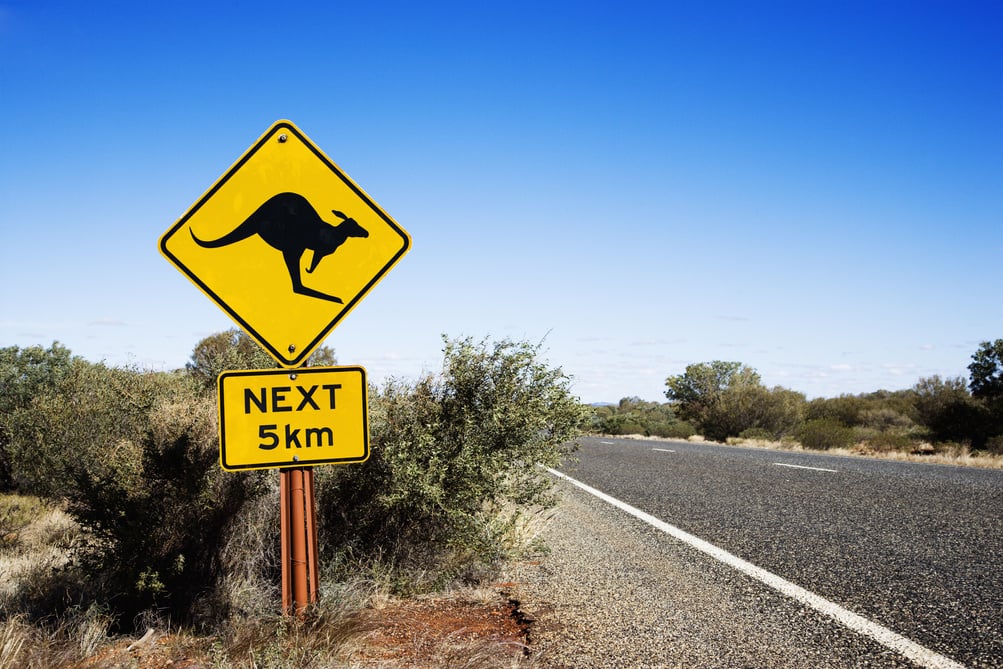 Kangaroo Crossing Australia